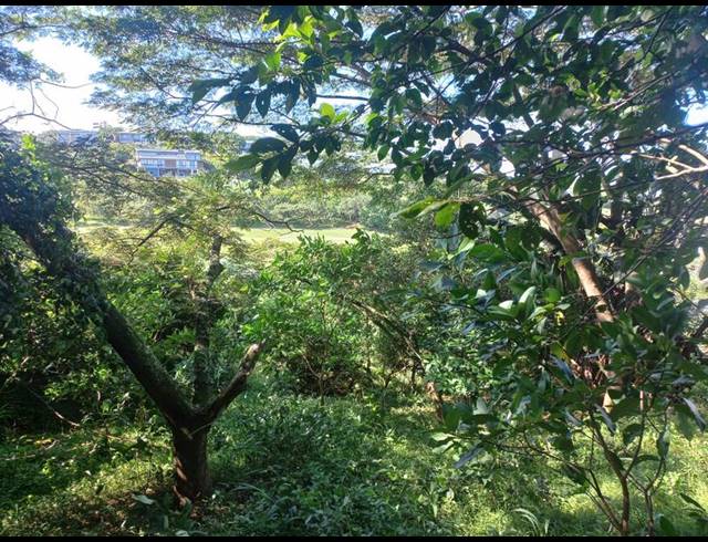 LAND FOR SALE IN SIMBITHI ECO ESTATE